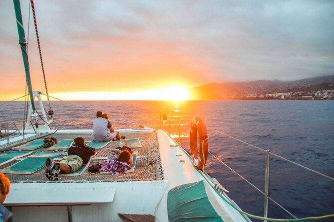 Hop-on Hop-off Bus Tour and Catamaran Whale & Dolphin Watching - Key highlights you will actually use