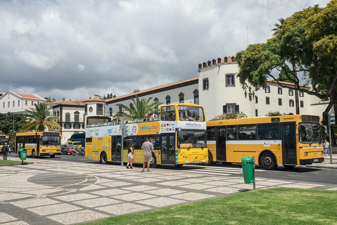 Hop-on Hop-off Bus Tour and Catamaran Whale & Dolphin Watching - Stop-by-stop guide: where you should get off (and why)