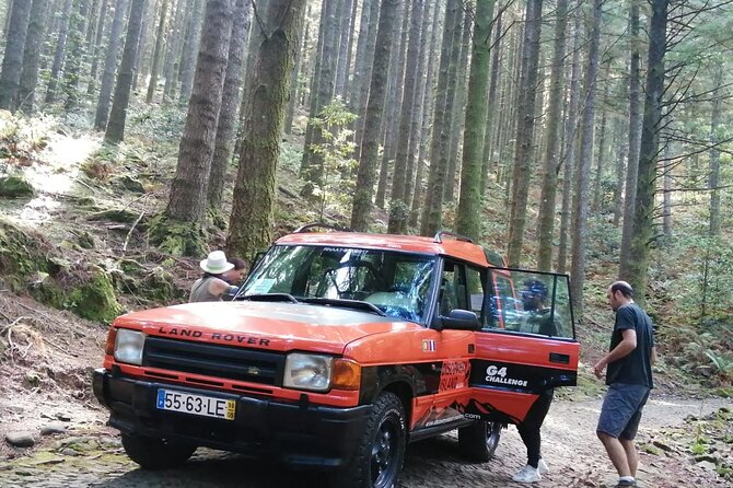 Jeep Safari in Pico Areeiro Santana Faial Full Day Tour - Stop 6 in Santana: Palheiros and That Classic Thatched Roof Look