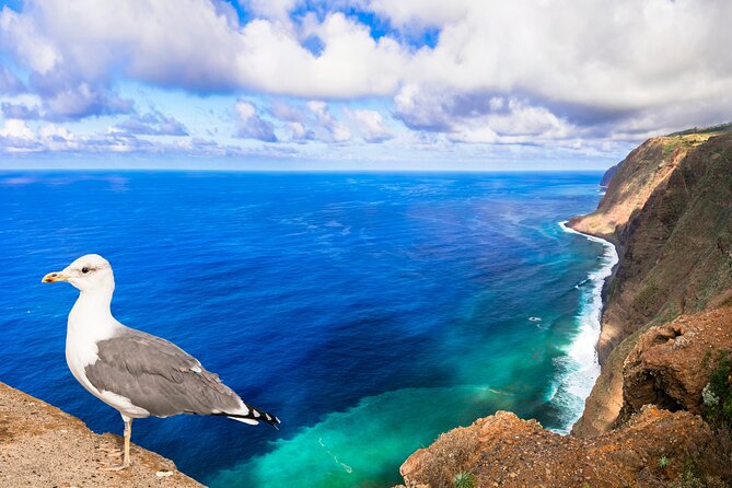 Jeep Safari in Southwest, Calheta and Ponta do Sol Full Day Tour - Passing Prazeres and seeing rural Madeira without the stop overload