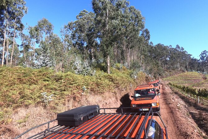 Jeep Tour Câmara de Lobos - Half day - Garden of the Serra: plants, stories, and a more gentle pause
