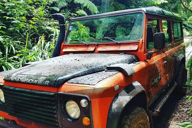 Jeep Tour To Santana: Old Forest Full-Day East-Side - Balcões de Ribeiro Frio: Ferns, Trout Ponds, and a Levada Stroll
