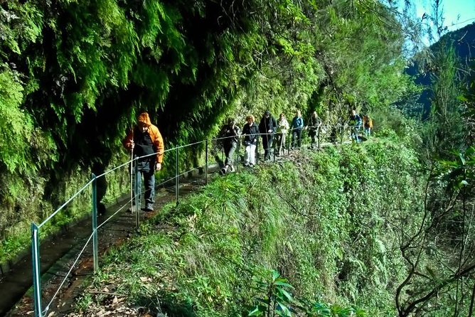 Kings Levada - Kings Levada in Madeira: the quick picture before you go