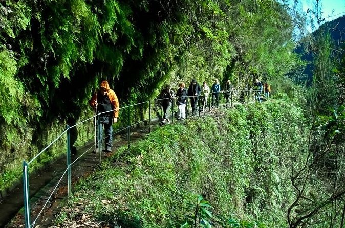 Kings Levada - Key things that make this levada walk worth it