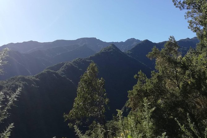 Kings Levada - São Jorge - Meeting at 8:30 and getting to the start without drama