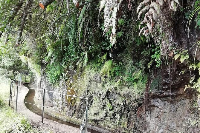 Kings Levada - São Jorge - Stops along the Kings Levada, including the picnic lunch break