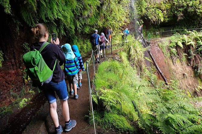 Kings Levada - São Jorge - Group size, pacing, and comfort you can plan around