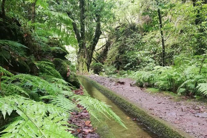 Kings Levada - São Jorge - Weather rules: when good plans depend on good skies
