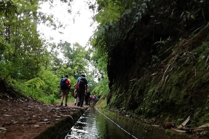 Kings Levada - São Jorge - The 10 km levada route: wide path, guided flow, real outdoor time