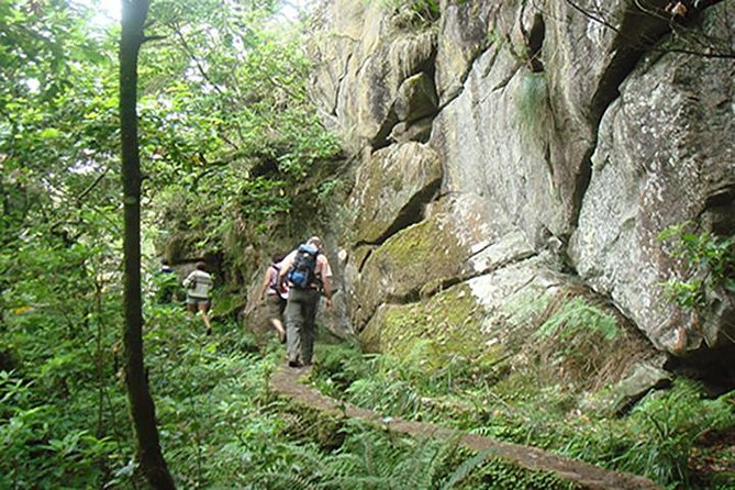 Laurissilva Forest Walk - Ribeiro Frio start, where the trout farm sets the tone