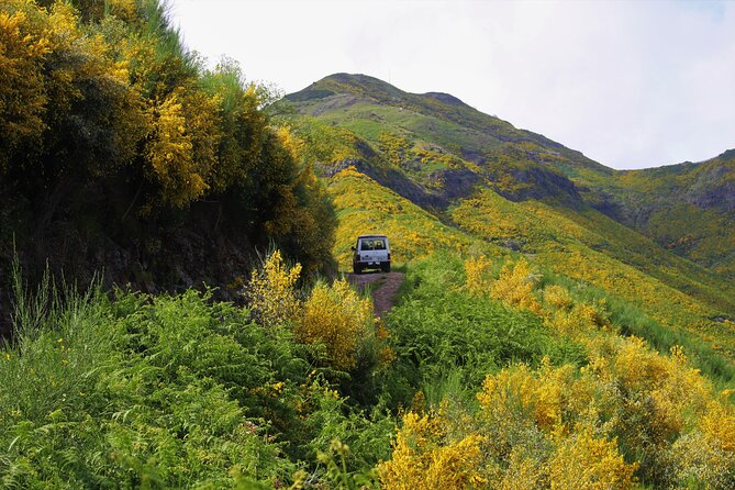 Let-Me-Surprise-You Private Full-Day Tour in All Terrain Vehicle - A full day across Madeira’s dramatic mix of mountains, forest, and coast