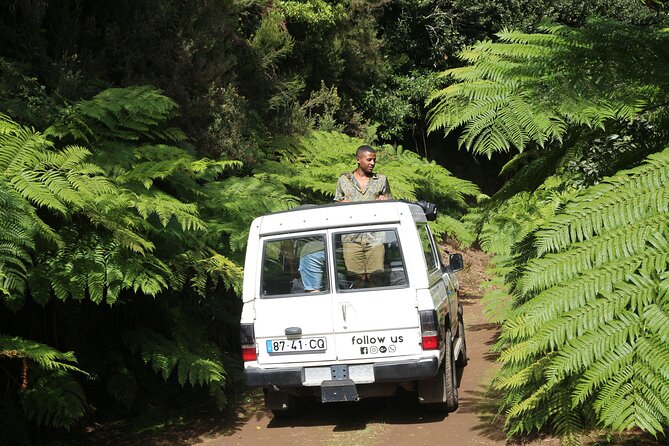 Let-Me-Surprise-You Private Full-Day Tour in All Terrain Vehicle - Value for money: what $302.34 per group buys you