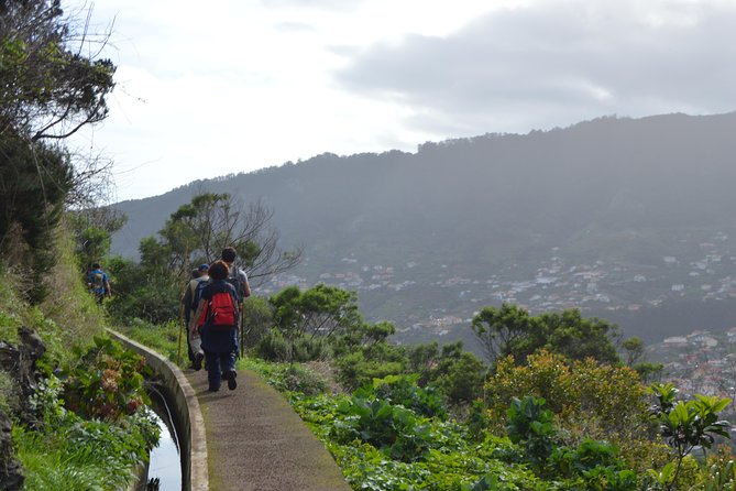 Levada da Referta - Castelejo - The end stop: homemade orange juice, poncha, and cake