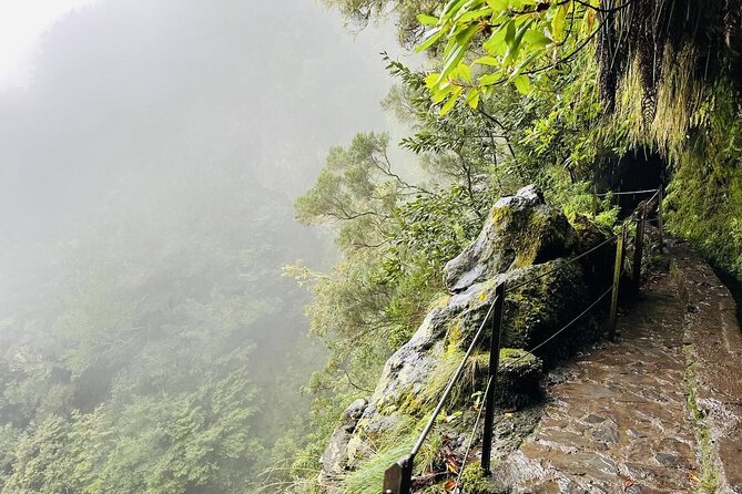 Levada do Caldeirão Verde Self-Guided Hike in Madeira - Money Matters: What the $48.27 Covers (and What It Doesn’t)