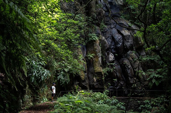 Levada do Caldeirão Verde Self-Guided Hike in Madeira - Drivers Who Make It Easier: Clear Directions, On-Time Service, and Helpful Info