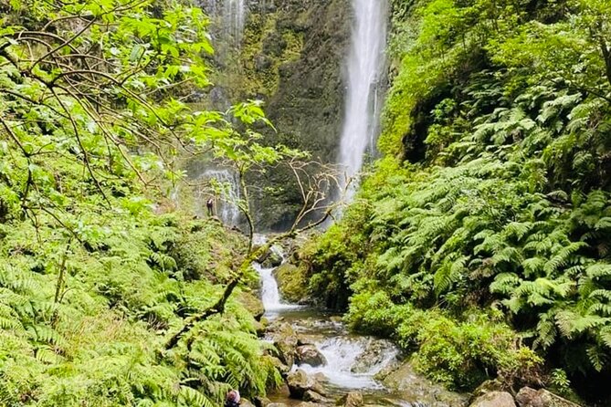 Levada do Caldeirão Verde Self-Guided Hike in Madeira - Timing That Works: How a 6-Hour Day Feels in Real Life