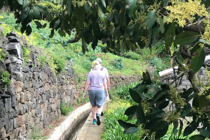 Levada do Moinho and Levada Nova - Private - Levada do Moinho: The Older System, Up the Valley