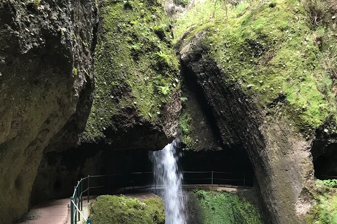 Levada do Moinho and Levada Nova - Private - How Levada Trails Connect Water, Farming, and Madeira Plants
