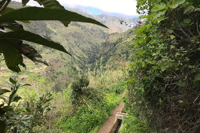 Levada do Moinho and Levada Nova - Private - Who Should Book This Private Levada Pair