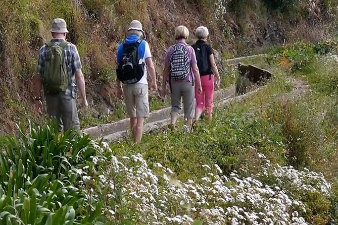 Levada do Norte Quinta Grande Levada walk - Inside the UNESCO-listed laurel forest: what the levada walk does for your senses