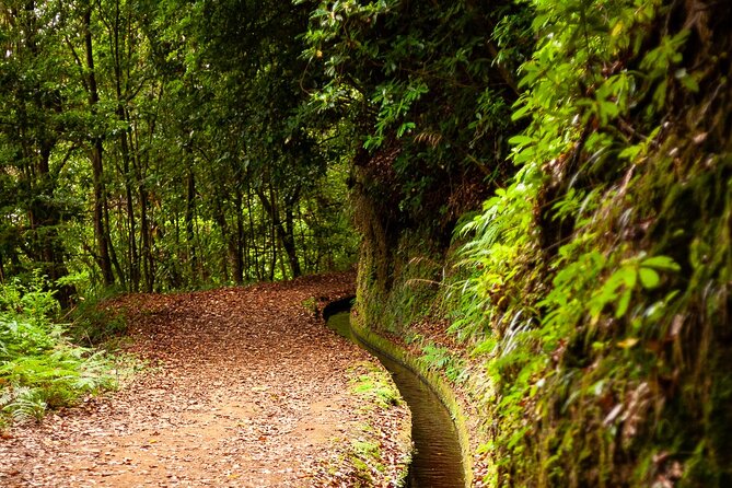Levada do Rei PR18 Scenic Hike in Madeira with Transfer Service - Walking the PR18 route: Laurissilva forest, waterfalls, and your pace