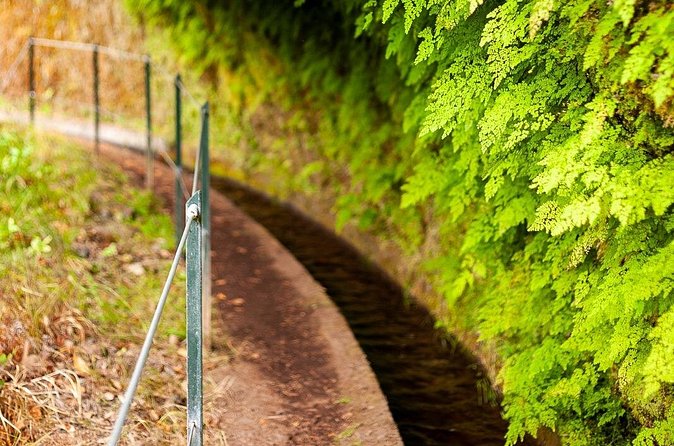 Levada do Rei PR18 Scenic Hike in Madeira with Transfer Service - Group size and who this hike suits best