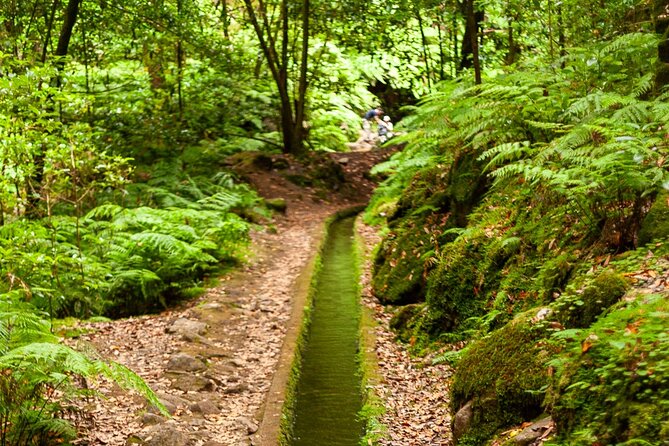 Levada do Rei PR18 Scenic Hike in Madeira with Transfer Service - Price and value: what you pay, and what you do not