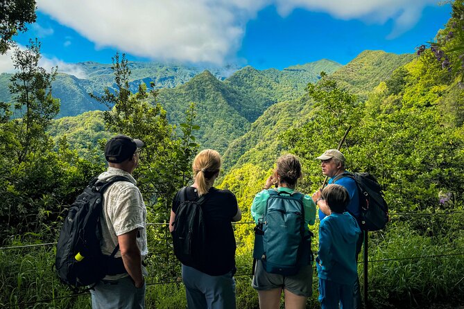 Levada do Rei (PR18) - Through Madeira's Majestic Laurissilva - Key things to know before you go