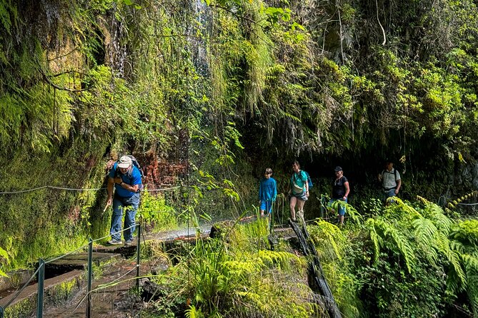 Levada do Rei (PR18) - Through Madeira's Majestic Laurissilva - A morning away from Madeira city noise