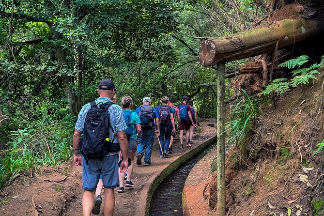 Levada do Rei (PR18) - Through Madeira's Majestic Laurissilva - The 3€ cash fee and what to pack