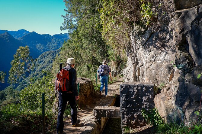 Levada do Rei (PR18) - Through Madeira's Majestic Laurissilva - Price and value: is $52.85 a good deal?