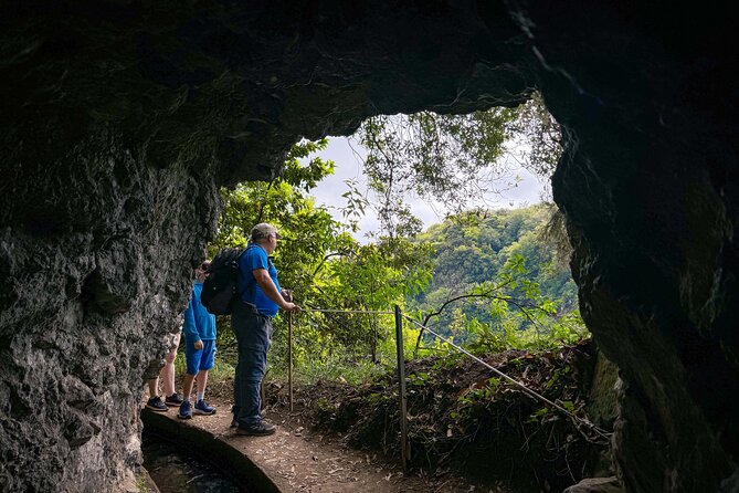 Levada do Rei (PR18) - Through Madeira's Majestic Laurissilva - Who this tour is best for (and who should skip it)