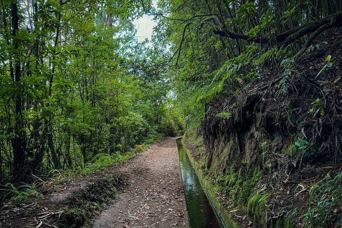Levada do Rei (PR18) - Through Madeira's Majestic Laurissilva - Practical tips so the walk feels smooth