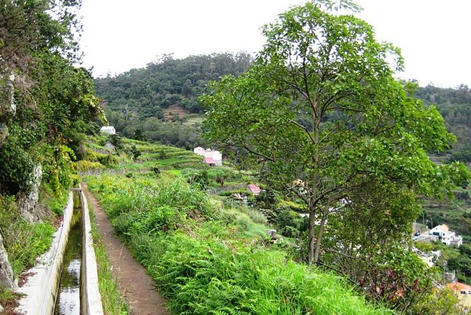Levada dos Maroços - Following the Water: What the Levada Walk Feels Like