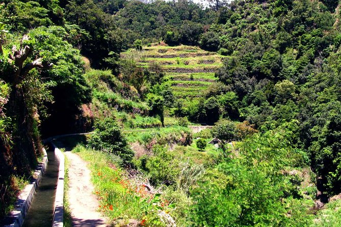Levada dos Maroços - Machico City Views: When the Scenery Hits More Than Once