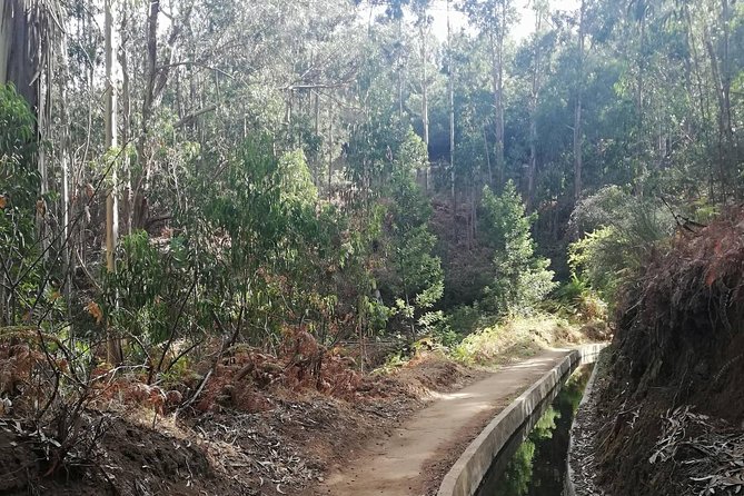 Levada Serra D´Agua - Serra DAgua and Levada do Norte: Why This Short Morning Walk Works