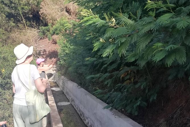 Levada Serra D´Agua - The Real Effort Level: Comfortable for Most, Still Bring Common Sense