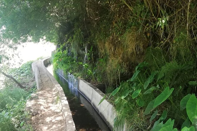 Levada Serra D´Agua - Starting Views Over Funchal: Coastline and Farmland Before the Forest