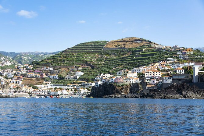 Living Sea Boat Trip in Madeira from Funchal - A simple heads-up before you go