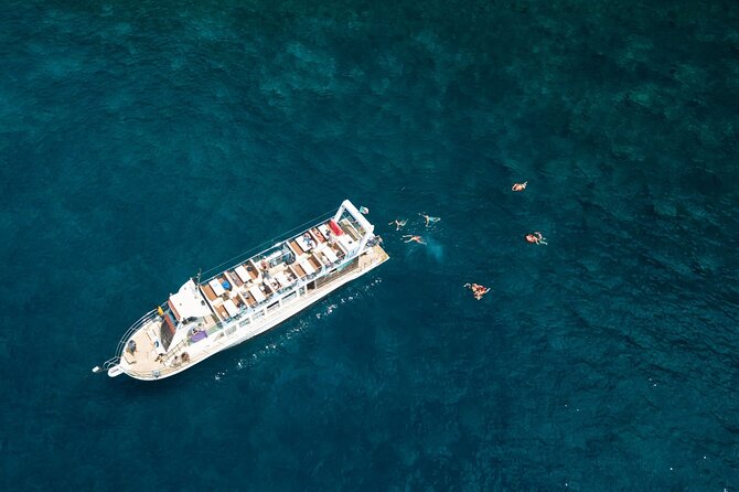 Living Sea Boat Trip in Madeira from Funchal - Wildlife chances on the return along the coast