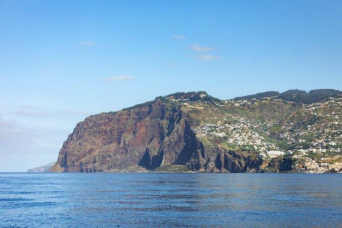 Living Sea Boat Trip in Madeira from Funchal - Key things to know before you sail