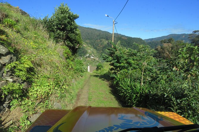 Local Farmers Market and 4WD Experience from Funchal - Riding Out of Funchal in an Open-Top 4WD