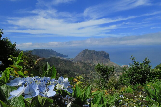 Local Farmers Market and 4WD Experience from Funchal - Who Should Book This Tour (and Who Might Skip It)