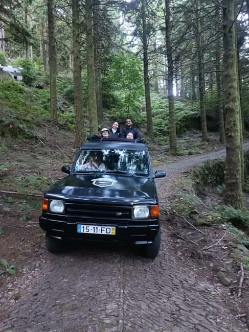 Madeira: 4WD Tour & Skywalk to Seixal, Porto Moniz & Fanal - Fanal Forest and the Witch Tree: Off-Road into Madeira’s Quiet Side