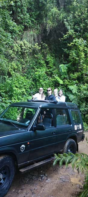Madeira: 4WD Tour & Skywalk to Seixal, Porto Moniz & Fanal - Paul da Serra Crossing and Ponta do Sol: Finish with Light and Color