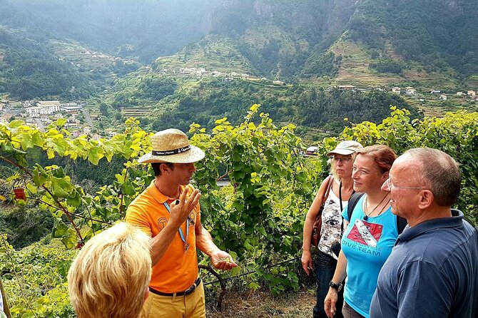 Madeira 4x4 Tour and Wine Tasting Experience - Cabo Girão Platform Fee: The one extra cost that matters