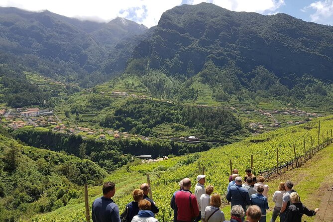 Madeira 4x4 Tour and Wine Tasting Experience - The Ride Reality: Comfort, heat, and safety-minded expectations