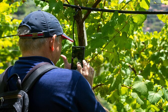 Madeira 4x4 Tour and Wine Tasting Experience - Who should book this tour (and who might skip it)
