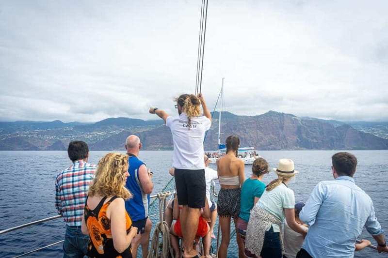 Madeira : 5 hour East Coast boat excursion - Stop-by-stop: the east coast highlights you’ll actually see