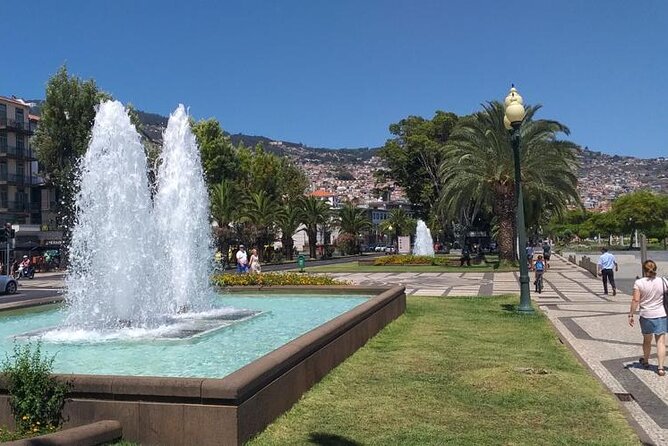 Madeira Airport Round Trip Private Transfers Services - Driving in Madeira with a chauffeur who watches the road for you